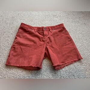 Carve Designs Shorts - 6” inseam